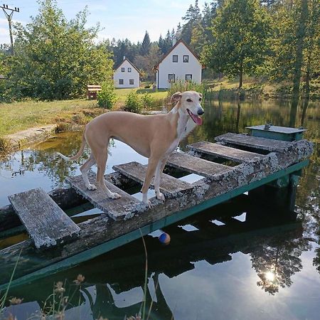 Klidna Lokalita Na Kraji Lesa, Cely Dum S Uschovnu Kol Villa Nova Bystrice Luaran gambar